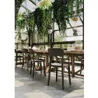 4 Outdoor Stackable Polypropylene Chairs Made in Italy Design - Alexus Viadurini