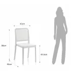 4 Stackable Indoor and Outdoor Chairs in Polypropylene - Peacock Viadurini