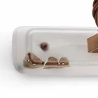 Applique two spotlights Amelia Ferroluce craft Viadurini