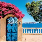 Vintage Brass Outdoor Wall Light with Opal/Clear Glass - Siren Viadurini