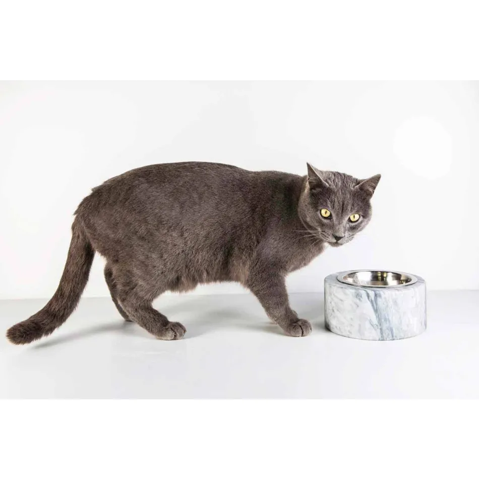 Dogs and Cats Bowl in White Carrara Marble Made in Italy - Ciotta Viadurini