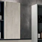 Bathroom Composition with 2 Drawers, Wall Cabinet, Column and Mirror - Titan Viadurini