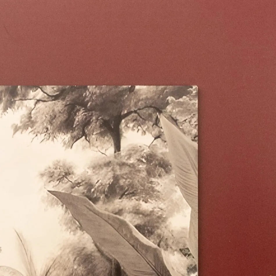 Composition of Wooden Paintings with Elephant Print Made in Italy - Patagonia Viadurini