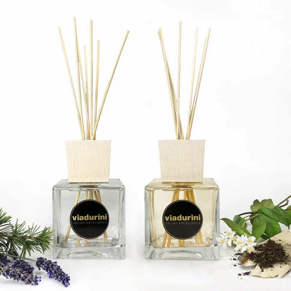 Pack of 2 Home Fragrances Assorted Fragrances 500 ml each. with sticks Viadurini