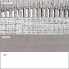 Outdoor Stackable Two Seater Sofa Upholstered Fabric - Smart by Varaschin Viadurini