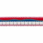 Single mattress in Quality Memory 25 cm high Made in Italy - Platinum Viadurini