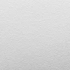 Shower Tray 160x80 cm in White Resin with Drain and Cover - Estimo Viadurini