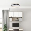 Black Metal Ceiling Light for Interior Lighting - Ophiuchus