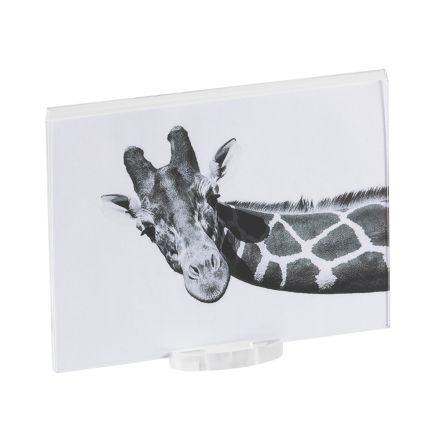 Transparent Acrylic Crystal Photo Frame with Design Base - Rover Viadurini