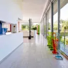 Modern Design Umbrella Stand in Methacrylate Colarato Made in Italy - Daddy Viadurini