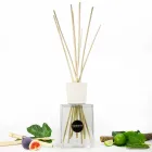 Bamboo Lime Fragrance Home Air Freshener 2,5 Lt with Sticks - Ariadicapri Viadurini