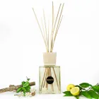 Leather Fragrance Ambient Air Freshener 2,5 Lt with Sticks - Lavecchiavenezia Viadurini