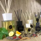 Mandarin and Cinnamon Room Fragrance 200 ml with Sticks - Lamaddalena Viadurini