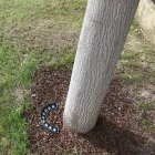 9W Outdoor Led Floodlight in Aluminum Matt Black Finish - Tudor Viadurini