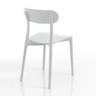 Kitchen Chair in White or Matt Gray Polypropylene 4 Pieces - Milan Viadurini