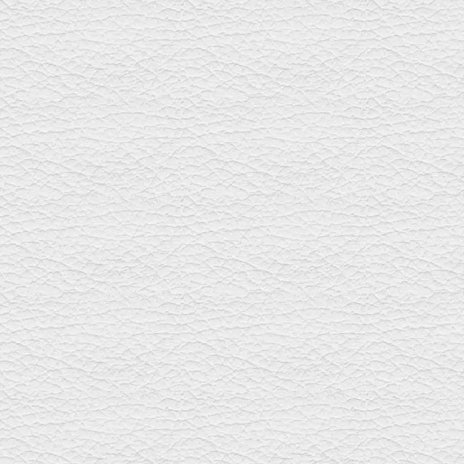 Padded Dining Room Chair with Lacquered Steel Base – Granella Viadurini