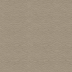 Padded Dining Room Chair with Lacquered Steel Base – Granella Viadurini