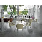 Stackable Metal and Polypropylene Chair Made in Italy, 4 Pieces - Caramel Viadurini