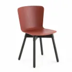 Polypropylene Chair with Stained Oak Base Made in Italy, 2 Pieces - Scandio Viadurini