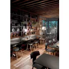 Made in Italy Wood and Polypropylene Dining Chairs, 2 Pieces - Clover Viadurini