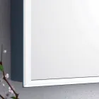 Wall-mounted mirror with 2 modern doors, LED lighting, Adele Viadurini