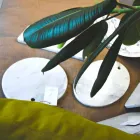 Round Design White Carrara Marble Cutting Board Made in Italy - Masha Viadurini