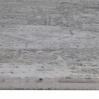 Designer Rug in Viscose and Acrylic Gray Beige with Design - President Viadurini