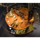 Low design coffee table with glass top and Bigo wood Viadurini