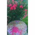 Indoor or Outdoor Coffee Table with Metal Structure Made in Italy - Carim Viadurini