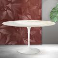 Saarinen Tulip Oval Coffee Table H 41 cm in Florim Calacatta Gold Matt Ceramic - Scarlet