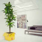 Porta-table Magazines Fragile Mabele Viadurini