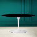 Tulip Saarinen Oval Coffee Table H 41 in Absolute Black Made in Italy - Scarlet