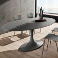 Dining Table with Lacquered Glass Top Made in Italy, Quality - Brontolo