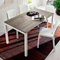 Dining Table in Melamine and Painted Metal Made in Italy - Remigio