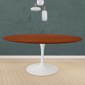 Tulip Table Eero Saarinen H 74 Round in Cherry Stained Oak Made in Italy - Scarlet