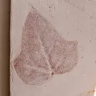 Toscot Vivaldi terracotta wall lamp made in Italy Viadurini