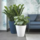 Round Colored Polyethylene Decorative Vase Made in Italy - Mengo Viadurini