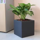 Pot or Square Garden Divider Three Colors Made in Italy - Plants Viadurini