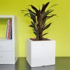 Pot or Square Garden Divider Three Colors Made in Italy - Plants Viadurini