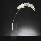 Modern Transparent Plexiglass Flower Vase Made in Italy - Unique Viadurini