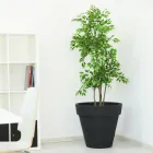 Round Colored Garden Vase or with Lighting Made in Italy - Avanas Viadurini